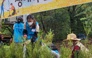 2021년 10월 북한산 생태복원 봉사활동 진행 (2013년 이후, 누적 약13,000그루 수목식재) 사진